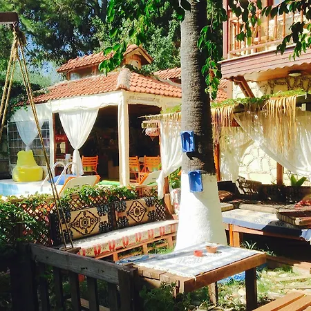 Tuana 3*